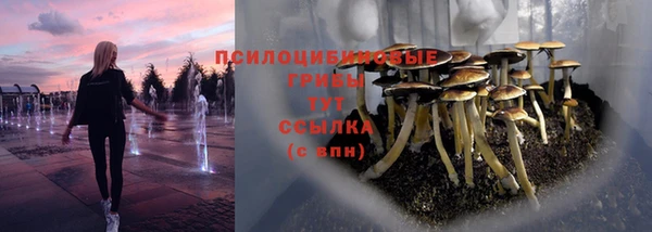 экстази Белокуриха
