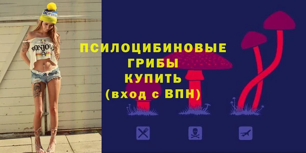 экстази Белокуриха