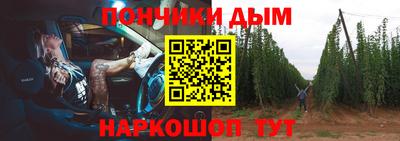 прущие крисы Бийск
