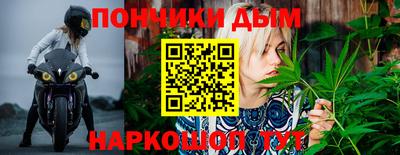 прущие крисы Бийск