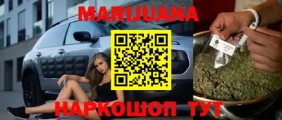 стаф Гатчина