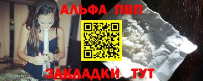 стаф Гатчина