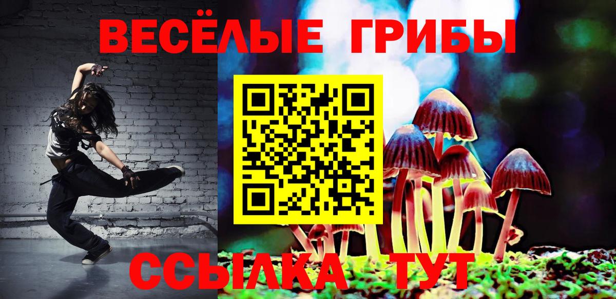 Галлюциногенные грибы мицелий Верхняя Пышма