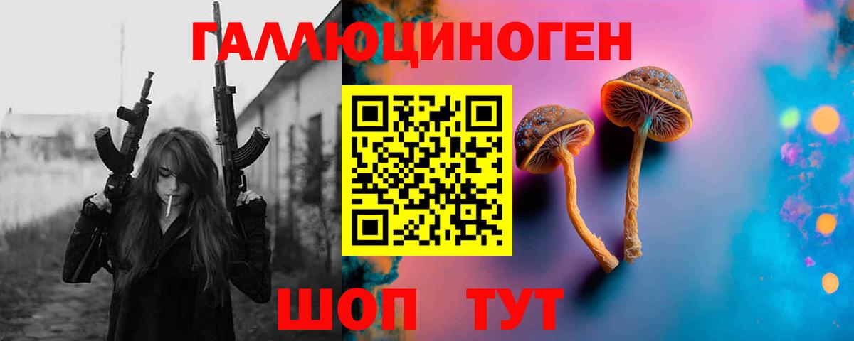 Галлюциногенные грибы Psilocybe  Галлюциногенные грибы MAGIC MUSHROOMS  Верхняя Пышма  как найти закладки  Вход с VPN 